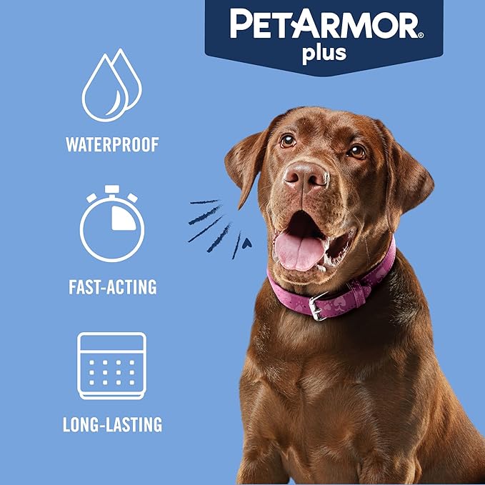 PetArmor Plus Flea and Tick Prevention for Dogs, Dog Flea and Tick Treatment, 3 Doses, Waterproof Topical, Fast Acting, Large Dogs (45-88 lbs)