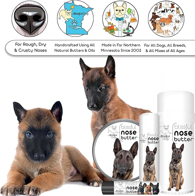 The Blissful Dog Belgian Malinois Nose Butter for Dry, Cracked Skin, Lick-Safe Dog Nose Balm with Moisturizing Shea Butter, Almond, Olive, and Essential Oils, Pet Supplies, Uncented, 0.50 oz.