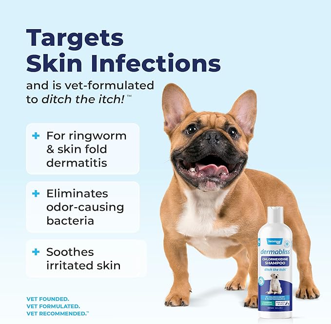 Vetnique Dermabliss Chlorhexidine for Dogs Skin Health - Antibacterial Medicated Dog Shampoo - for Skin Infections & Irritation, Hot Spots & Redness Relief (Medicated Shampoo, 16oz)