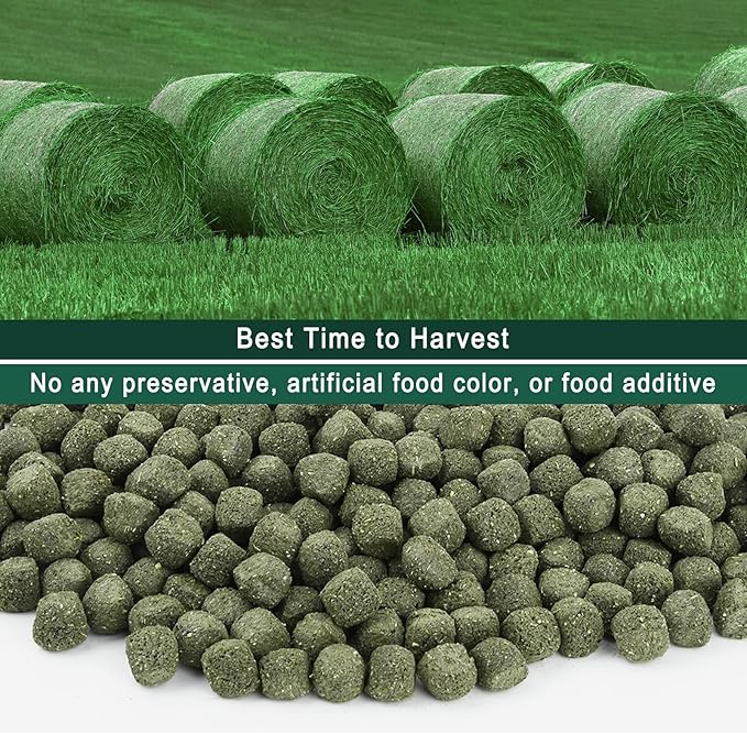 Timothy Hay Cubes 10 oz with Small Size - Timothy Grass Pellets for Tortoises Rabbits Guinea Pig Chinchilla