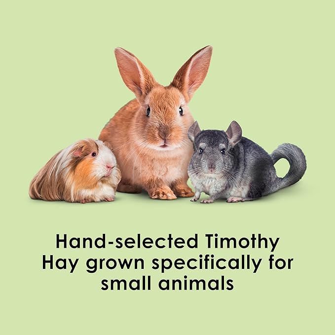 Kaytee All Natural Timothy Hay for Guinea Pigs, Rabbits & Other Small Animals, 6 Pound
