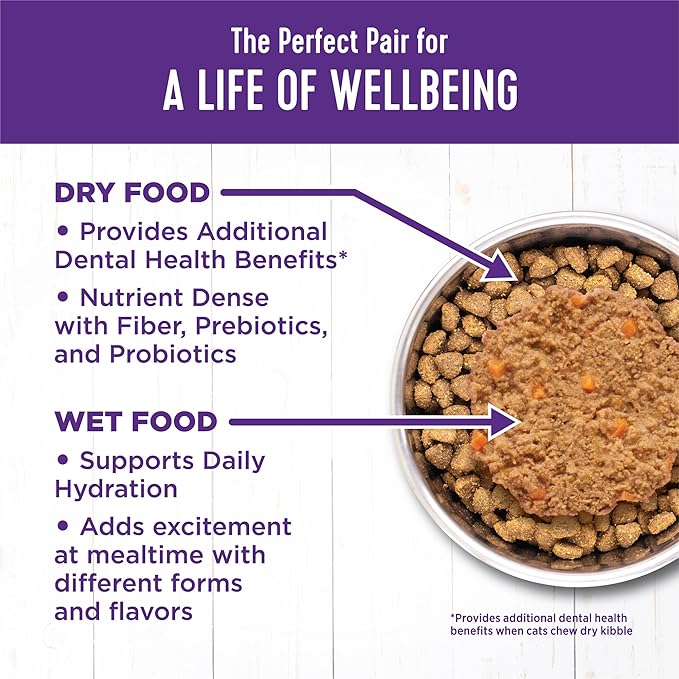 Wellness Complete Health Pate Kitten Wet Cat Food, Natural, Protein-Rich, Grain Free, 5.5 Ounce, 24 Pack, (Chicken)