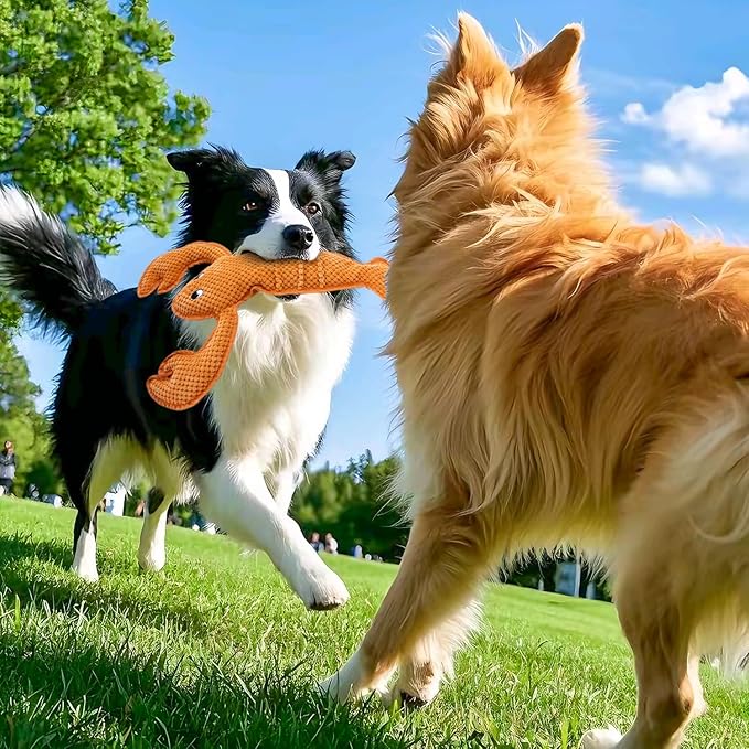 Squeaky Dog Toy No Stuffed Dog Toys,Lobster Puppy Toys for Small Medium Large Breed pups Teething Interactive Toy to Keep Them Busy, Best Christmas Birthday Gift