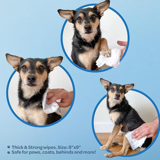 Best Pet Supplies Pet Wipes for Dogs - Dog Wipes Cleaning Deodorizing, for Coats, Ears, Paws - Soothing Oatmeal, 400 Count