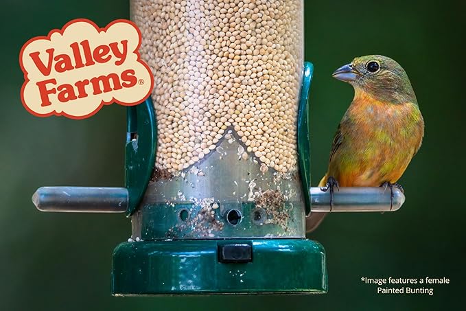Valley Farms White Millet Wild Bird Seed 5 LB 2-Pack (10 LB Total) for Outside feeders, White proso Millet, Bird Watcher Secret Wild Bird Food