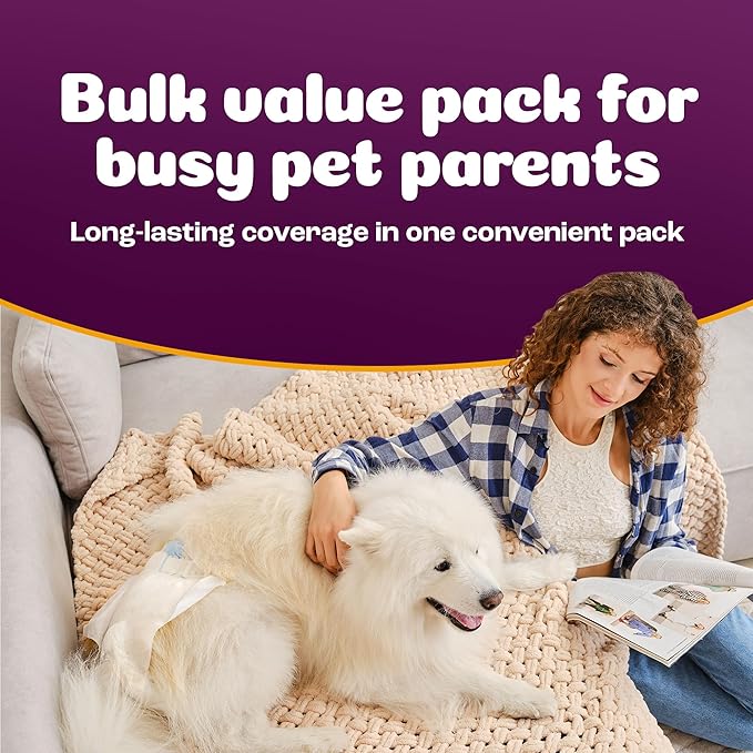 Inspire Pet Care Dog Diapers Female Dogs | Bulk Value Doggie Incontinence, Accidents, for Heat, Pee or Period and Housebreaking (Large (60 Count))