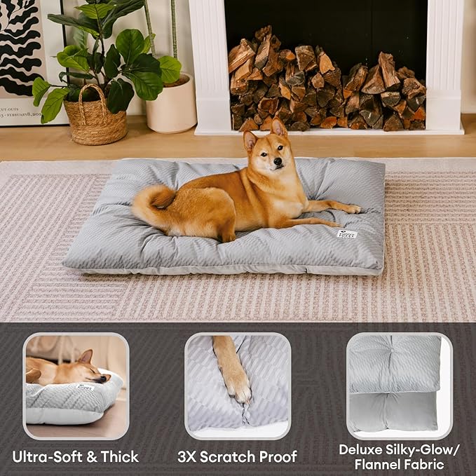 FUNNY FUZZY 2 in 1 Dog Bed Crate Pad Mat, Washable Reversible Floor Pet Mats,Fluffy Kennel Pad for Small Large Sized Dog,Indoor Cats,Sleeping Mattress, 23.6" × 17.9", Light Grey