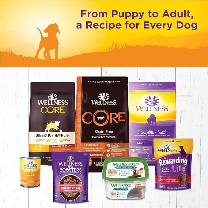 Wellness Complete Health Natural Wet Canned Puppy Food, Puppy Chicken & Salmon 12.5-Ounce Can (Pack of 12)