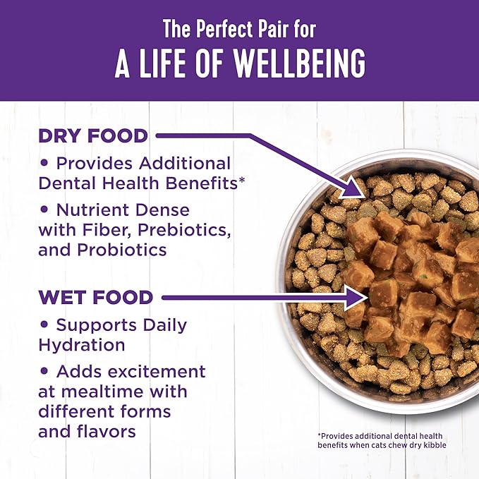 Wellness Complete Health Cubed Adult Wet Cat Food, Natural, Protein-Rich, Grain Free, 5.5 Ounce, 24 Pack, (Chicken Entrée)