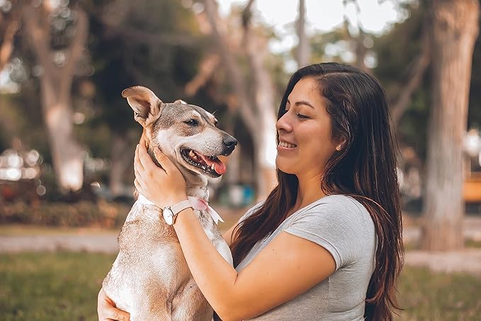 Natural Flea and Tick Collar for Puppies - Provides 24-Month Protection, Safe Pest Control - Waterproof and Strong - Includes Free Flea Comb and Tick Tweezer - 4-Pack