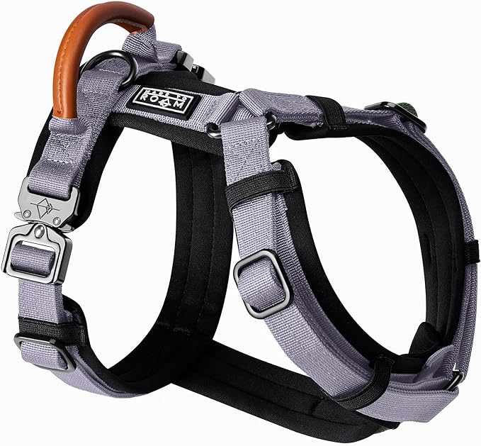 MADE TO ROAM Premium Explorer Harness - Y-Shaped Dog Harness with Adjustable Durable Nylon, Soft Padding, Metal Buckles and Leather Handle for Small, Medium, Large Dogs (Montana Moonrise, Size 7)