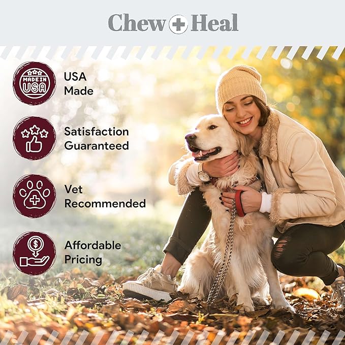 Dog Skin and Coat Supplement -360 Soft Chew Omega Treats for Skin Allergies -Salmon Oil Blend of Essential Fatty Acids, Omega 3, 6, Vitamins, Minerals -Made in USA (2 Packs of 180, Lamb Flavor)