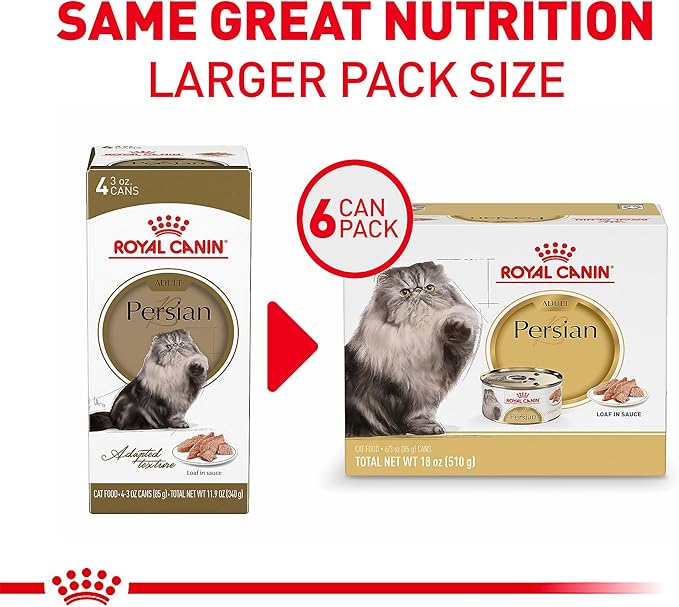 Royal Canin Maine Coon Adult Breed Specific Cat Food Thin Slices in Gravy, 3 oz can (6-Pack)