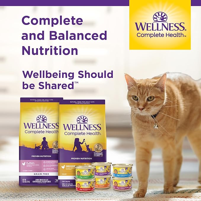 Wellness Complete Health Pate Adult Wet Cat Food, Natural, Protein-Rich, Grain Free, 3 Ounce, 24 Pack, (Turkey & Salmon)