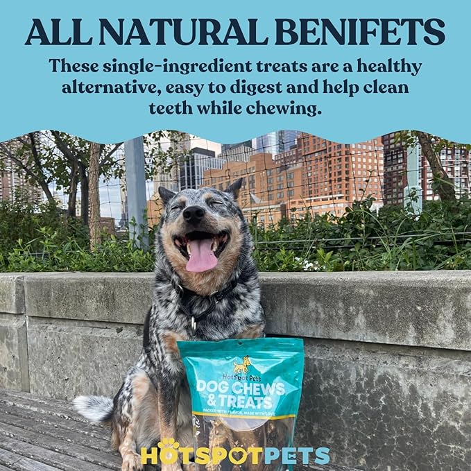 hotspot pets 4-5 Inch Rawhide Dog Chew Bones - Choice of 10, 20, 30 Packs - from Grass Fed Brazilian Cows - Promotes Dental Hygiene and Good Behavior (20 Pack)