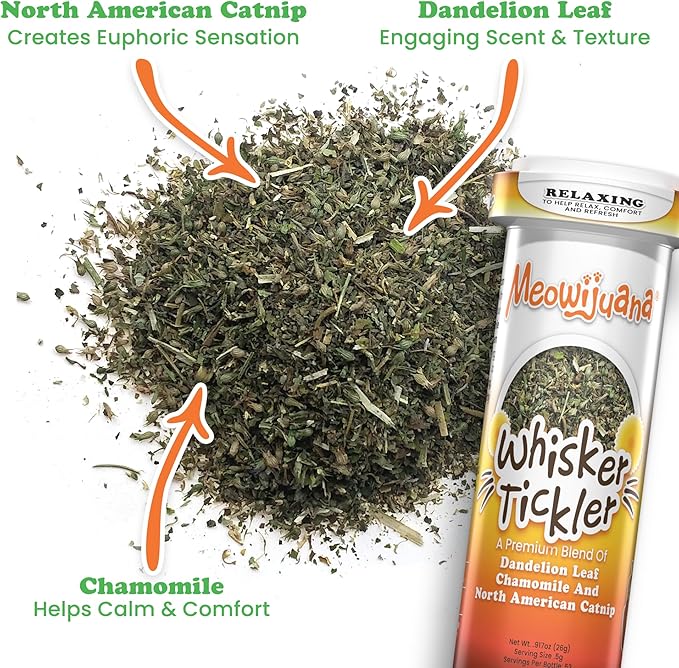 Meowijuana Purrple Passion Cat Nip - Premium Organic Blend of Catnip for Cats & Silvervine, Stimulates Playful Behavior, 26g, Natural Wellness Gift for Cat Lovers
