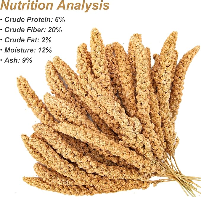 Amzey 5.5 LB Spray Millet for Parakeets, 100% Natural Dried Millet Grain for Birds, Non-GMO Bird Treat for Cockatiel, Finches, Parrots & Lovebirds