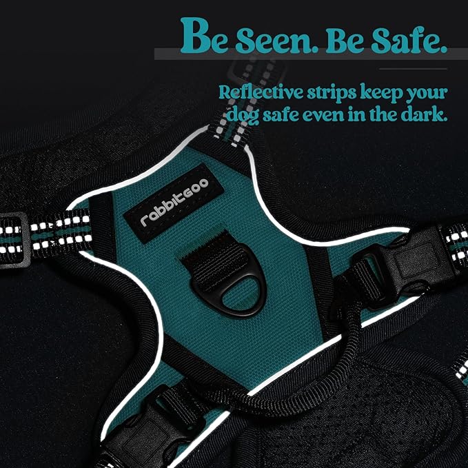 rabbitgoo Dog Harness No Pull with 2 Leash Clips, Adjustable Soft Padded, Reflective Oxford No Choke Pet Vest with Easy Control Handle for Puppy, Teal, XS