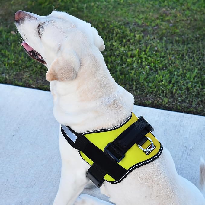 Dogline Dog Harness, Reflective No-Pull Adjustable Vest with Handle for Walking, Training, Breathable, No - Choke Harness for Small, Medium or Large Dogs Room for Patches Girth 27 to 34 in Lime Green