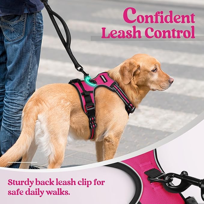 rabbitgoo Dog Harness No Pull with 2 Leash Clips, Adjustable Soft Padded, Reflective Oxford No Choke Pet Vest with Easy Control Handle for Medium Sized Dogs, Hot Pink, M