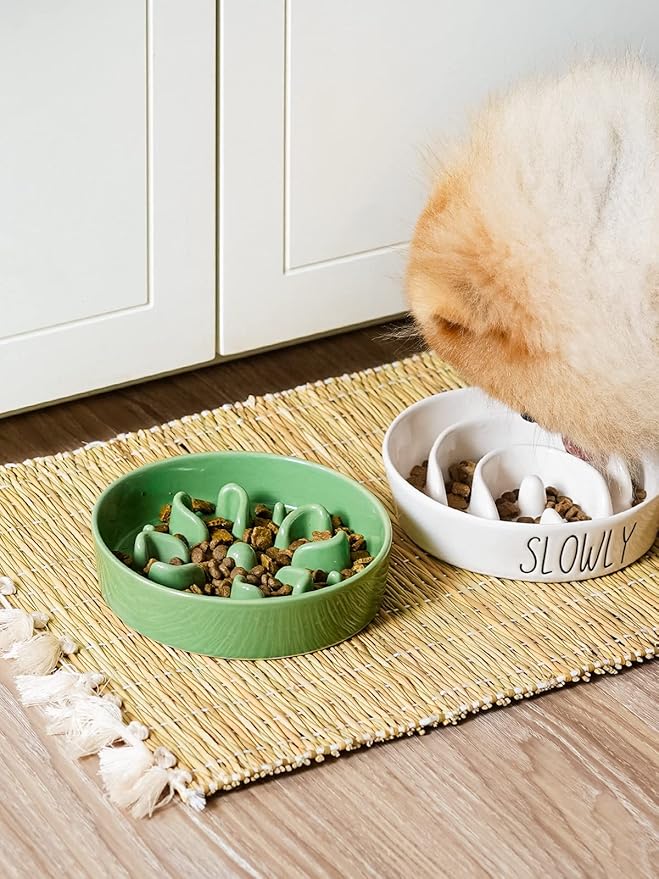 LE TAUCI Ceramic Slow Feeder Dog Bowls Small Breed, 0.6 Cups Dog Food Dish for Fast Eaters, Puzzle Bowl for Small Dogs and Cats,Clover Green