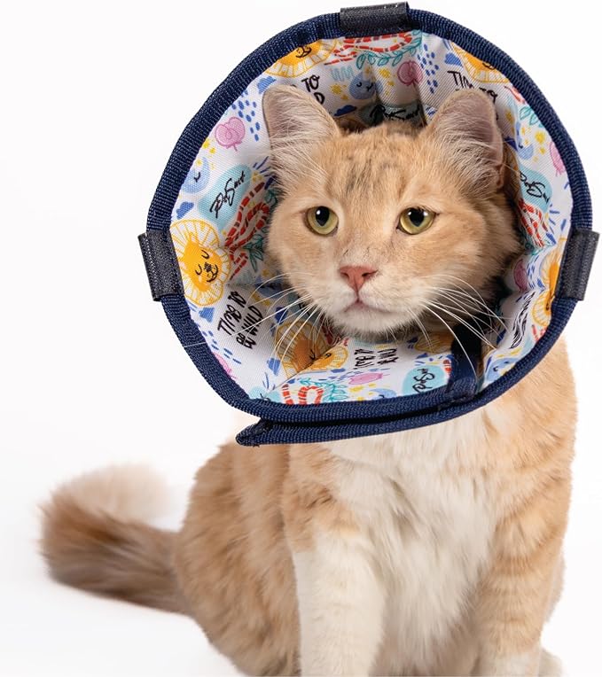 Cat Cone Collar – Colorful Cat Pattern - Lightweight Recovery Cone for Cats, Anti-Lick & Anti-Scratch, Vet Recommended, Elizabethan Collar (Colorful, XXS Long [Neck Girth: 7.5"-10.3"])
