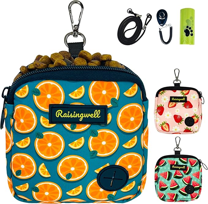 Dog Treat Pouch for Pet Walking and Training with Clicker Poop Bags Small Fanny Zipper Pack Holder for Puppy Snack Dispenser Kit for Leash and Outdoor Use (Fruit Orange)