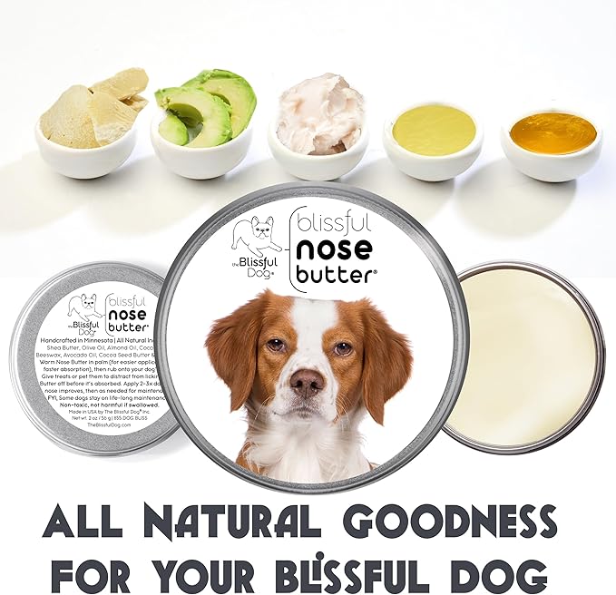 The Blissful Dog Brittany Spaniel Nose Butter for Dry, Cracked Skin, Lick-Safe Dog Nose Balm with Moisturizing Shea Butter, Almond, Olive, and Essential Oils, Pet Supplies, Uncented, 4 oz.