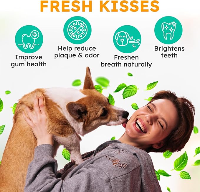Dog Teeth Cleaning Powder - Dog Breath Freshener + Dental Care for Doggies & Cats + Tartar Remover for Teeth with Natural Ingredients + Probiotics Blend (Mint - 200g)