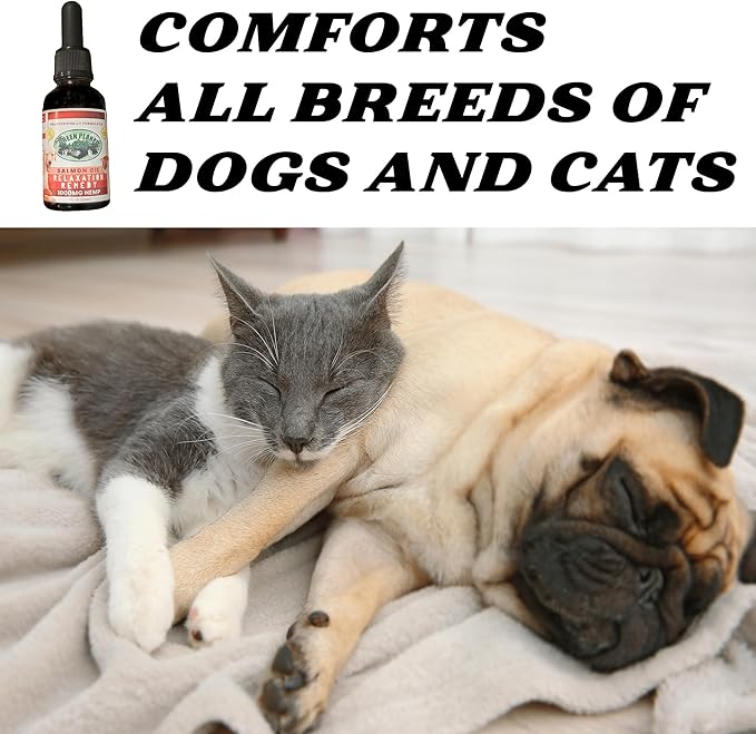 Pet Hemp Oil | Dogs and Cats | Wild Alaskan Salmon Hemp Oil | 1000MG Organic Tincture | 100% Natural | Hip, Joint, and Muscle Support for Your Pet | Aids with Skin, Coat, Anxiety, Stress, and Pain