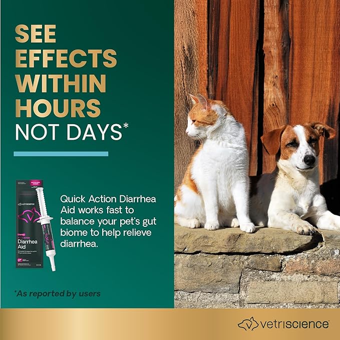VetriScience Quick Action Diarrhea Aid Paste with Probiotics & B Vitamins, Fast Balance Digestive Support Supplement for Dogs and Cats, Gut Balancer, Help Stop Diarrhea, Unflavored, 35 cc