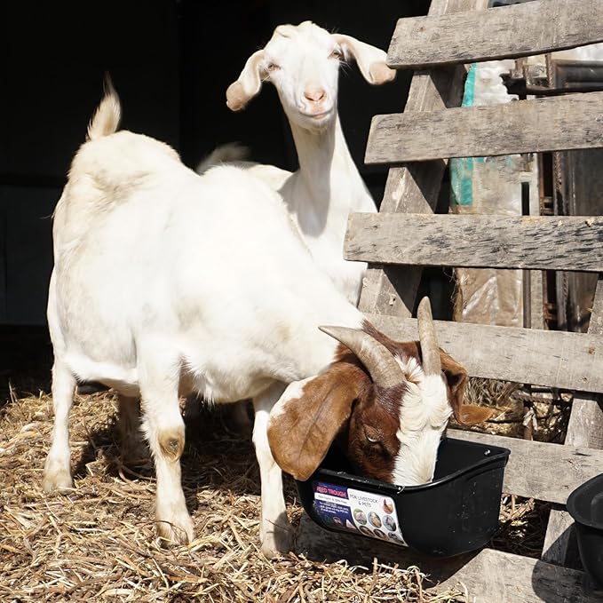 Goovilla Chicken Feeder Waterer, Hanging or Screw-in Fence Feeders with Clips, 2 Pack 5 Quart Goat Feeding Supplies, Duck Piglet Sheeple Coop Dog Livestock Poultry Plastic Feeder Trough Bucket, Black