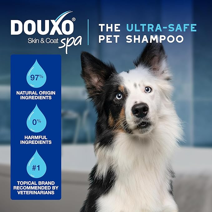 DOUXO® Skin & Coat SPA - Ultra-Safe Dewaxing Ear Cleaner for Dogs and Cats, 4.1 fl oz, Safely Cleans and Dewaxes The Ear, Skin-Friendly Formula