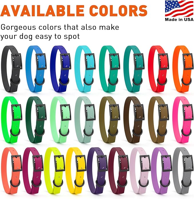 Dogline Biothane Waterproof Dog Collar Strong Coated Nylon Webbing with Black Hardware Odor- Proof for Easy Care Easy to Clean High Performance Fits Small Medium or Large Dogs, Lemon Yellow