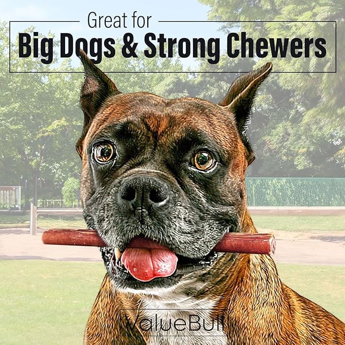ValueBull Bully Sticks for Dogs, Thick 6 Inch, 100 Count Bulk Pack - All Natural, Grass Fed, Single Ingredient, Long Lasting Dog Treats