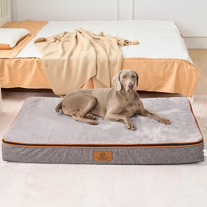 Orthopedic Memory Foam Giant Dog Bed - 6" Thick Beds for Large Sized Dog - Waterproof Removable Washable Cover & Wrap-Around Zipper - Ultimate Comfort & Easy Maintenance