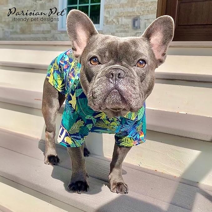 Parisian Pet Unisex Amazonia Dog Shirt - Leafy Dog Beach Outfit - Cotton Dog Summer Clothes - Stylish Hook and Loop Closure Dog Costume - Machine Washable Dog Shirts for Large Dogs - XL3