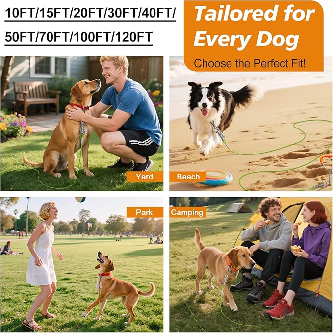 Tresbro 30 FT Dog Tie Out Cable with Spring, Shock Absorbing Tether Chains for Outside Aavilable in 10/15/20/25/30/40/50/70/100/120 FT, Heavy Duty Leads for Yard for Medium & Large Dogs Up to 500 LBS