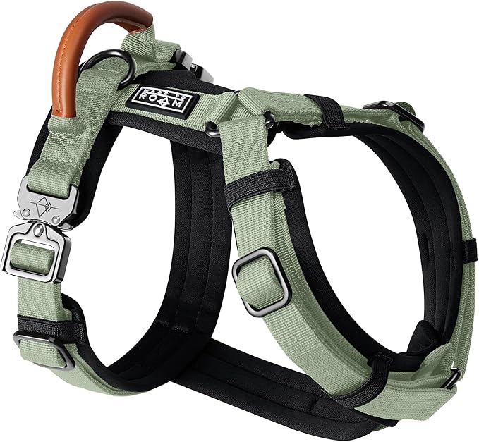 MADE TO ROAM Premium Explorer Harness - Y-Shaped Dog Harness with Adjustable Durable Nylon, Soft Padding, Metal Buckles and Leather Handle for Small, Medium, Large Dogs (Washington Rain, Size 7)