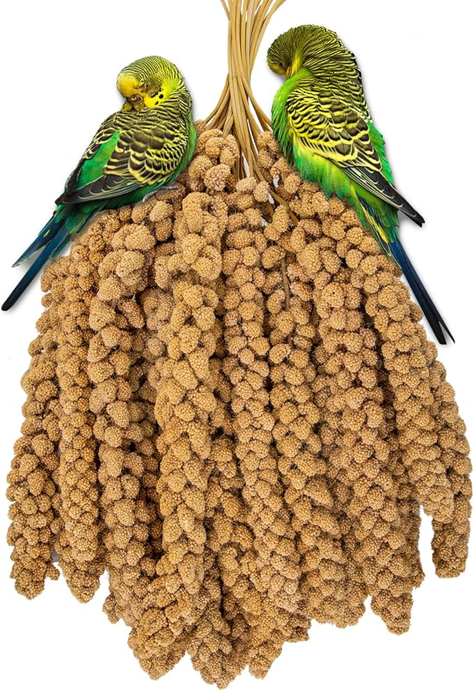 RANZ 5LBS Millet Spray for Birds, GMO-Free, Sun Dried Spray Millet, Original Bird Treats & Supplement for Parrots, Cockatiels, Lovebirds, Painted Buntings and Finches, Parakeets Food