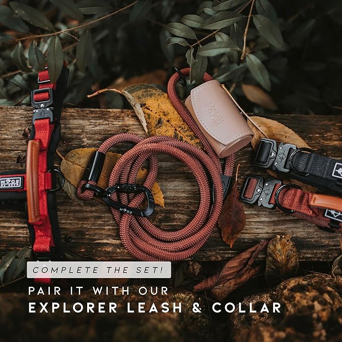 MADE TO ROAM Premium Explorer Harness - Y-Shaped Dog Harness with Adjustable Durable Nylon, Soft Padding, Metal Buckles and Leather Handle for Small, Medium, Large Dogs (Oregon Haze, Size 1)