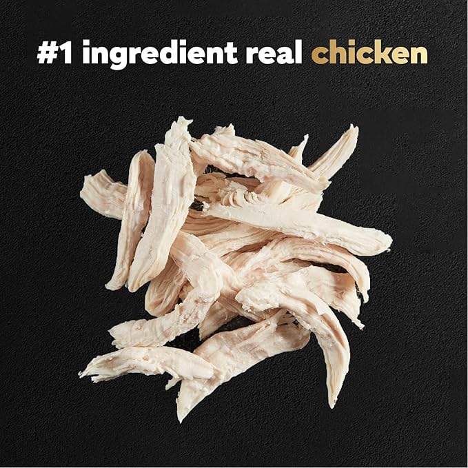 Cesar Filets in Gravy Wet Dog Food Rotisserie Chicken Flavor, 1.76 oz. Mini-Pouch (20 Count, Pack of 1)
