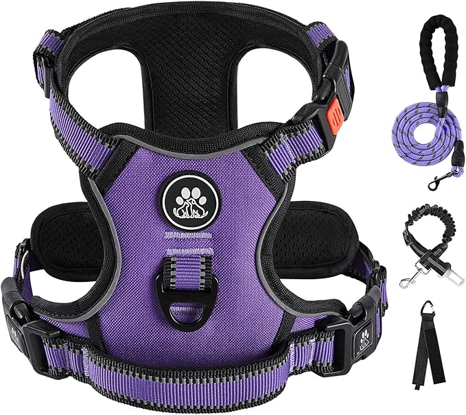 IVY&LANE No Pull Dog Harness for Small Dogs, Dog Vest Harness with Leash, Safety Belt and Storage Strap, Fully Adjustable Harness, 360° Reflective Strip, Soft Handle (Purple, XS)