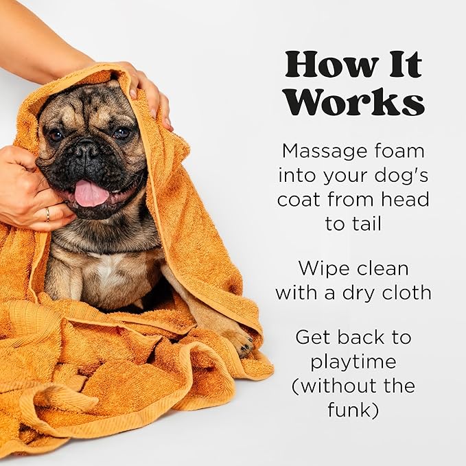 Poo-Pourri Rinse-Free Deodorizing Dry Shampoo for Dogs & Cats – Moisturizing Skin & Coat Soothing Formula - Plant Based Ingredients – Pineapple, Jasmine & Pear – No Rinse Foam Shampoo for Pet Odor