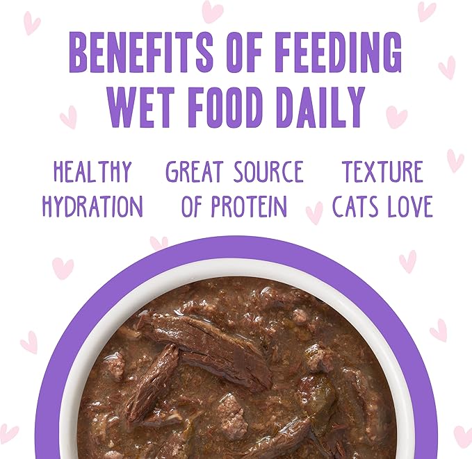 Weruva B.F.OMG - Best Feline Friend Oh My Gravy!, Tuna & Beef Baby Cakes with Tuna & Beef in Gravy Cat Food, 3oz Pouch (Pack of 12), Purple (0152)