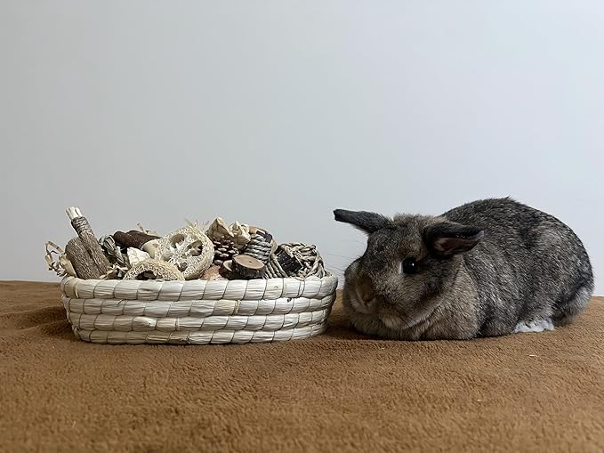 31PCS Rabbit Chew Treat Toys for Teeth Health, Natural Bunny Enrichment Toys for Boredom & Stress Relief, Keep Busy Toys for Guinea Pig Chinchilla Hamster Rat Gerbil Degu Indoor Outdoor