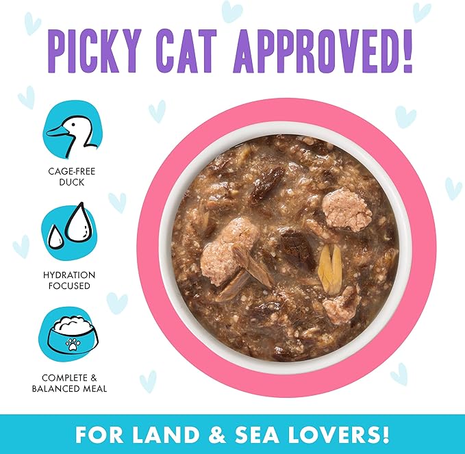 Weruva B.F.F. OMG - Best Feline Friend Oh My Gravy!, Date Nite! with Duck & Salmon in Gravy Cat Food, 2.8oz Pouch (Pack of 12)