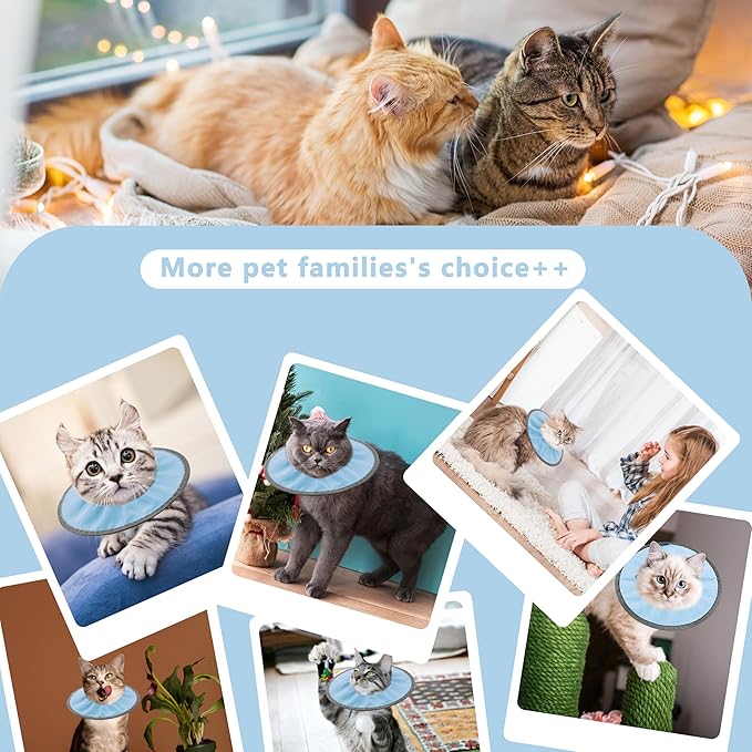 Lightweight Cat Cone Collar Soft, Soft Comfortable Cat Recovery Collar After Surgery, Elizabethan E Collar for Cats, Cone for Cats to Stop Licking (Baby Blue, Medium)