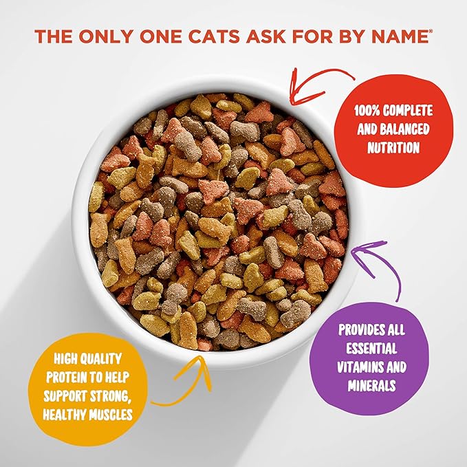 Meow Mix Original Choice Dry Cat Food, 18 Ounce (Pack of 6)