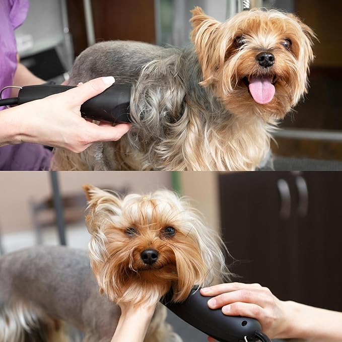 Detachable A Series 15 Blade Dog Grooming Cut Length 3/64" - 1.0mm Japanese Carbonized Steel Blades 15 Clipper Blades and Dog Clipper Blades 15 Compatible A5 Series Clipper for Dogs(15)